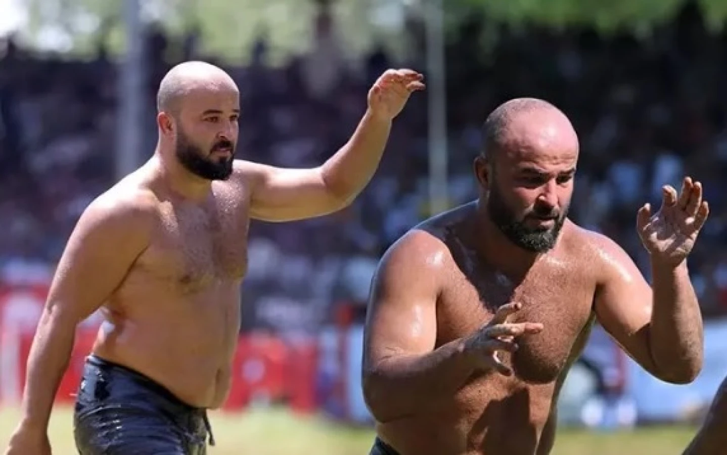 Kırkpınar'da başpehlivan Orhan Okulu oldu