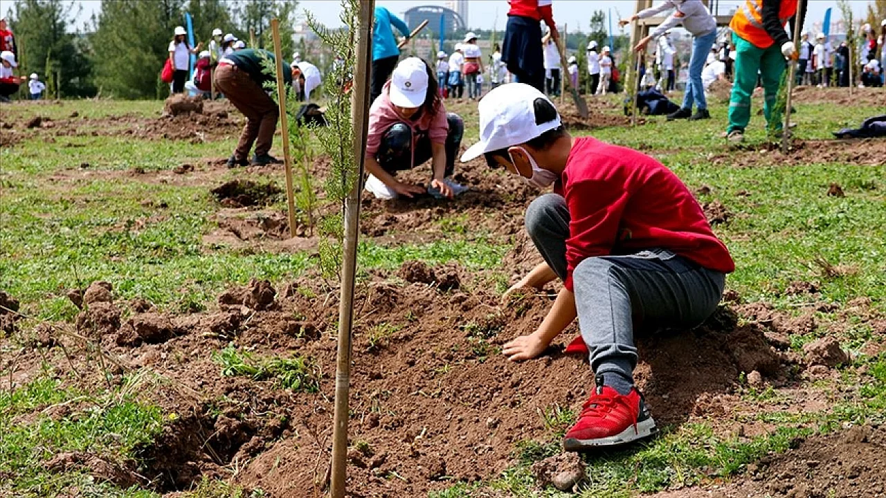 1 yılda 550 milyon fidan toprakla buluşacak