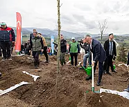 Kocaeli genelinde toplam 65 Bin fidan toprakla buluştu