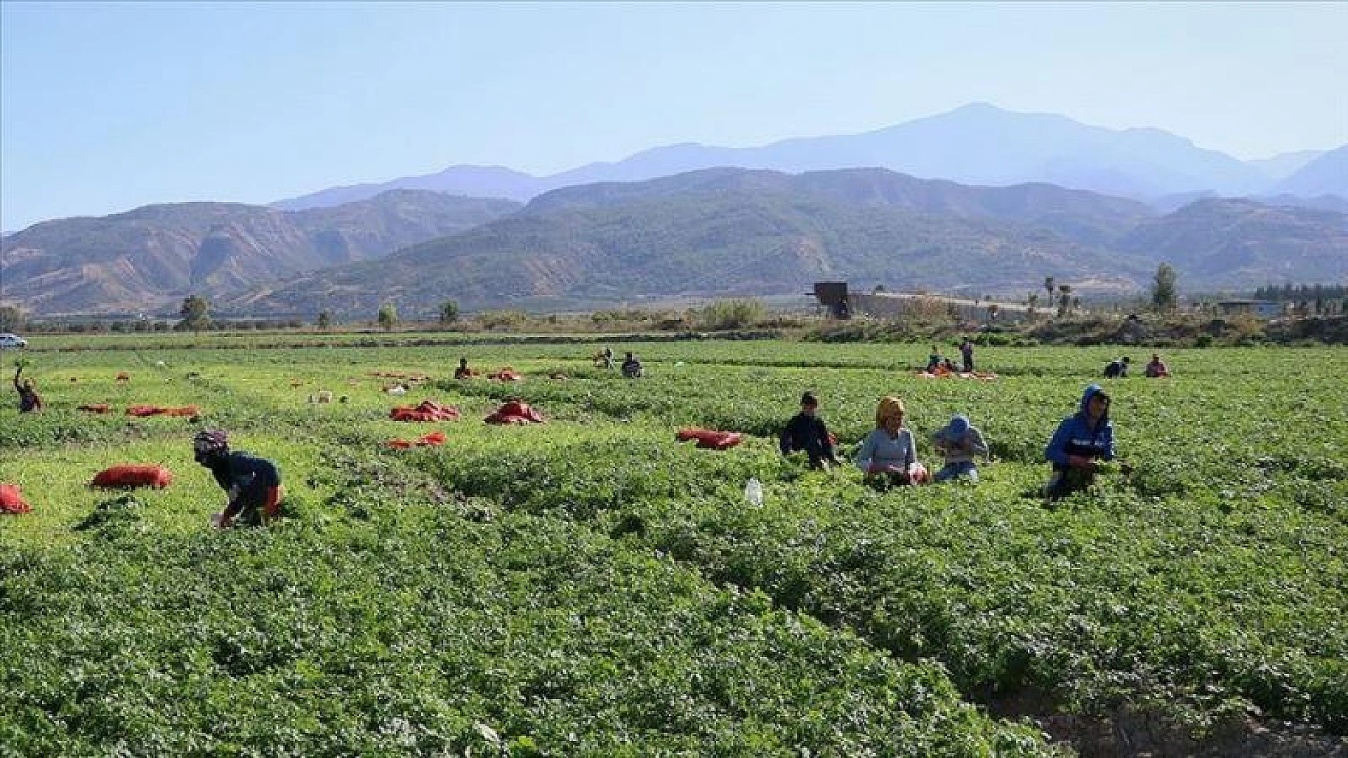 Tarımsal kuraklık riski yakından izleniyor