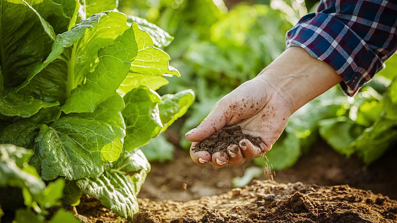 Tarım sezonu yağışlarında rekor artış