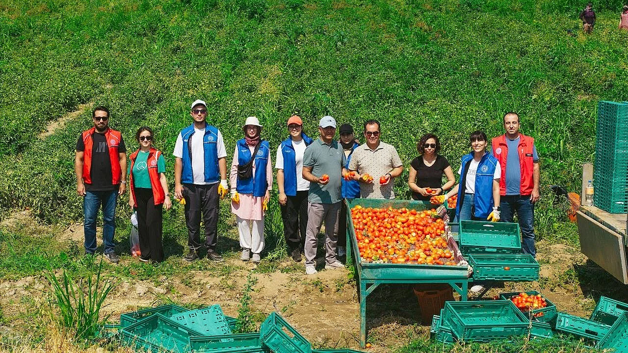 'Gönüllü Hasat Etkinliği' takvimi belli oldu
