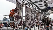 Kurban Hizmetleri Komisyonu kurulacak