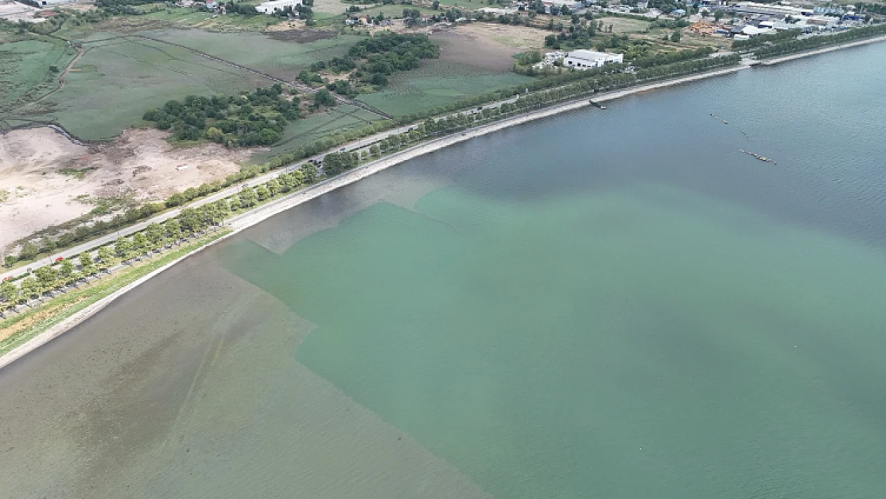 İzmit Körfezi'nde temizlik sonrası doğa canlanıyor