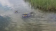 Sapanca Gölü’ndeki beyaz tabaka alg çıktı