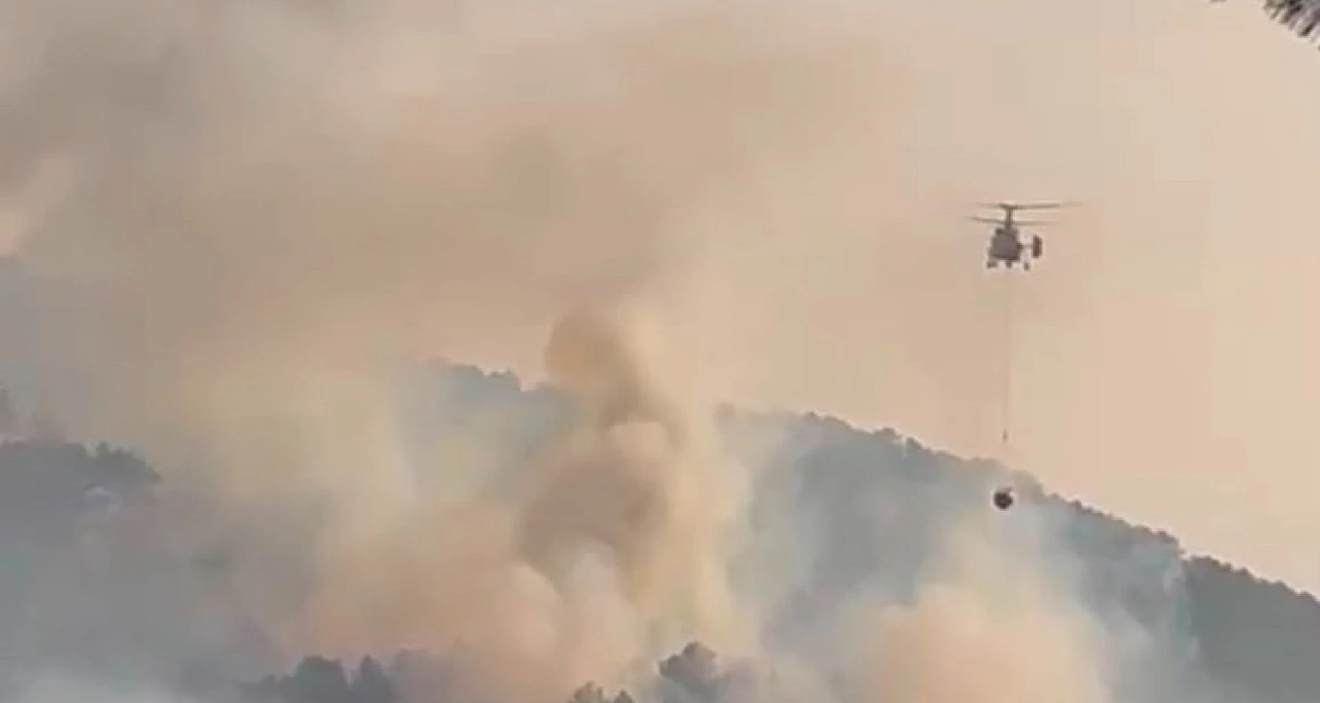 Bolu’nun Göynük ilçesinde ormanlık alanda yangın çıktı