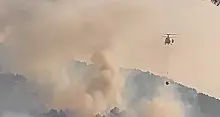 Bolu’nun Göynük ilçesinde ormanlık alanda yangın çıktı
