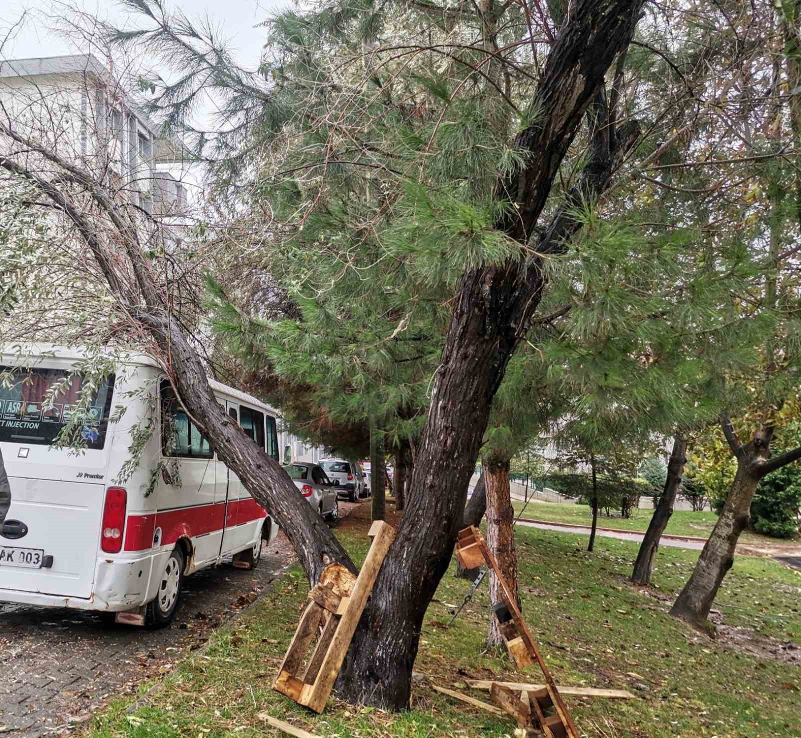 Bilecik’te şiddetli rüzgarda yıkılan ağaç aracın üzerine devrildi
