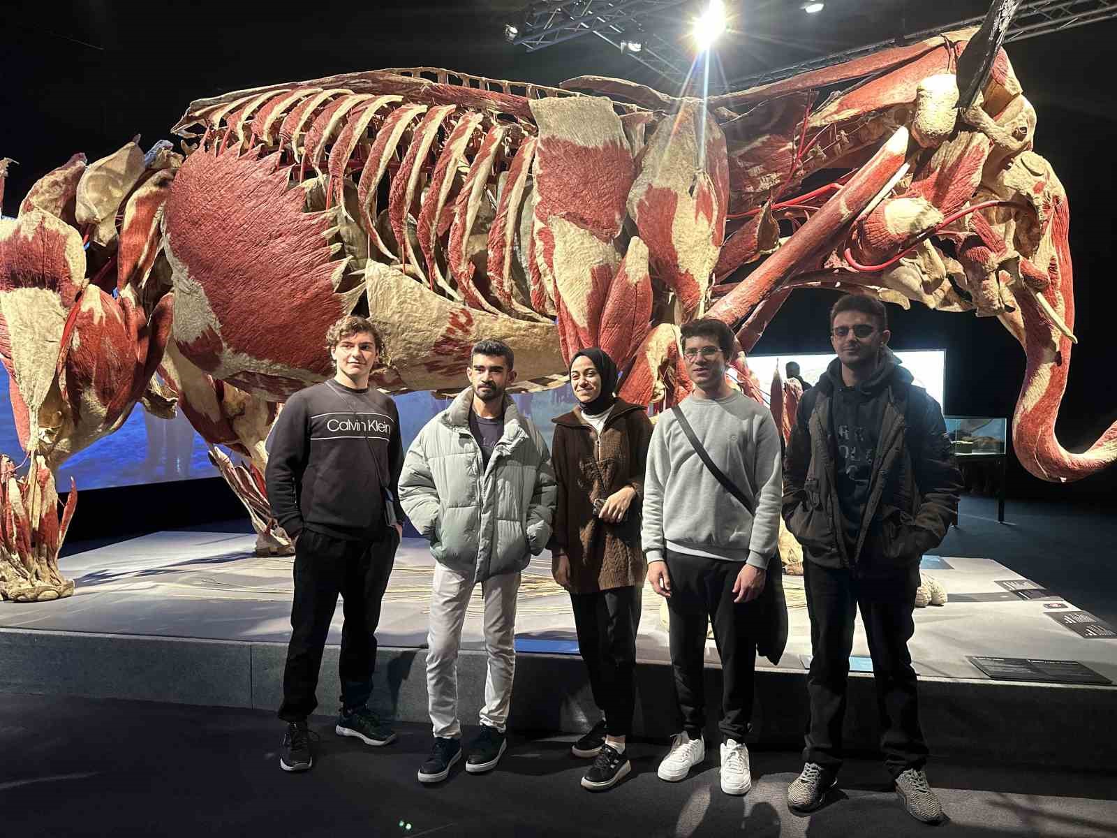 Gerçek hayvanların anatomi sergisinde 3.2 ton ağırlığındaki fil Samba İstanbulluların ilgi odağı oldu