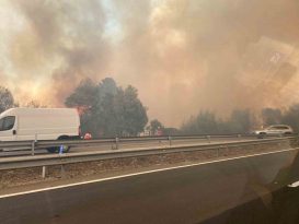 Şili’deki orman yangınlarında 10 kişi öldü, OHAL ilan edildi