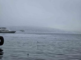 İstanbul Boğazı’nda yoğun sis nedeniyle gemi trafiği askıya alındı